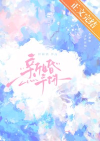 �»��������