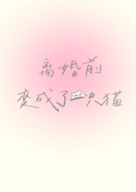 ���ǰ�����һֻè��1V1������