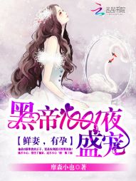 ڵ1001ҹʢ裺ޣз